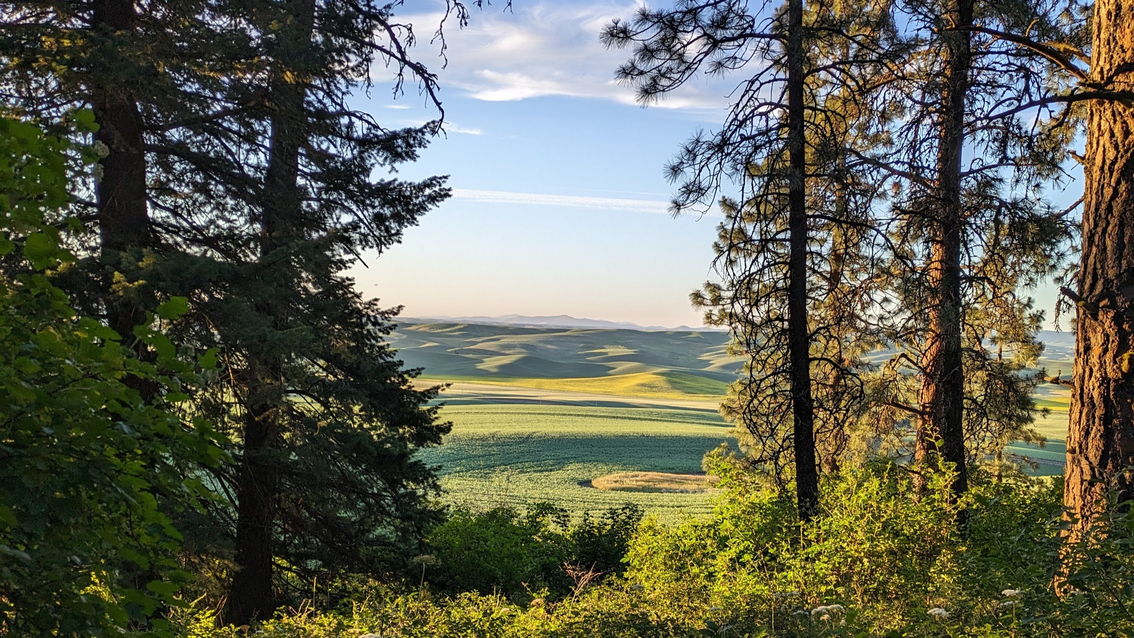 The Palouse to Pines Tour